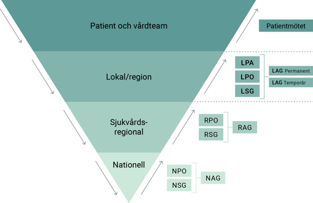 Organisation kring kunskapsstyrning